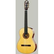 Meistergitarren