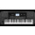 Korg Keyboard PA300 neu