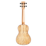 Cordoba Ukulele 24T-CE neu