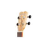 Cordoba Ukulele 24T-CE neu