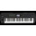 KORG Keyboard i3 Workstation schwarz neu