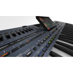 KORG PA5X-61 Musikant