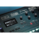 KORG Synthesizer FM-Synthese 61 inkl. Hardcase