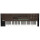 KORG Synthesizer FM-Synthese 61 inkl. Hardcase