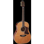 TAKAMINE Westerngitarre Thermal Top CRN-TS1