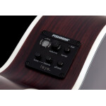 SCHECTER Westerngitarre SC3701 - Synyster GA SC TBB