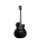 CORT Westerngitarre PURE-GA Blck Satin mit Tonabnehmer