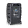 LD Systems ROADBUDDY 10 BASIC Akkubetriebener Bluetooth-Lautsprecher mit Mixer